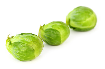 Image showing Isolated brussels sprouts