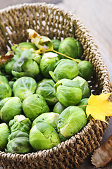 Image showing Basket of brussels sprouts