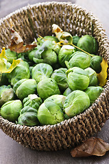 Image showing Basket of brussels sprouts