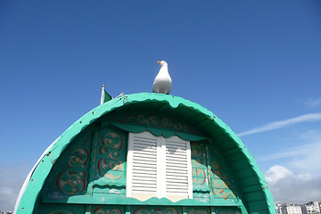 Image showing Seagull On Perch