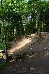 Image showing Woodland Slope 