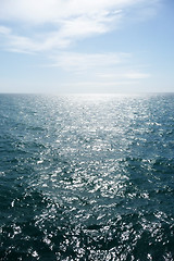 Image showing Brighton Sea