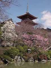 Image showing Kyomizudera-early spring