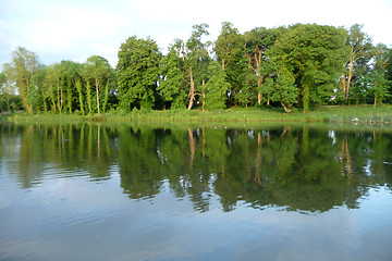 Image showing Lake And Tree View In Lydiard Park