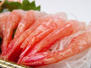 Image showing Shrimp sashimi