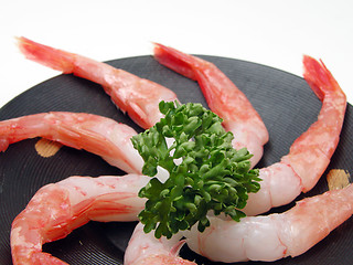 Image showing Shrimp sashimi close-up