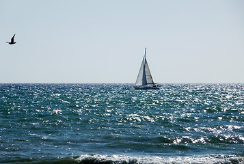 Image showing Sail Boat In Sea On Brighton Coast