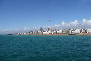 Image showing Brighton Coast 