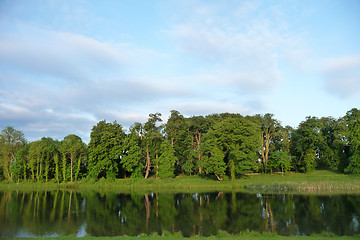Image showing Lake And Tree View In Lydiard Park