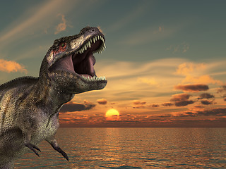 Image showing T Rex Sunrise