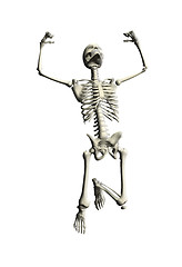 Image showing Skeleton Jumping