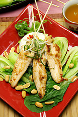 Image showing Asian Chicken Skewers