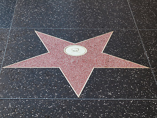 Image showing Hollywood star
