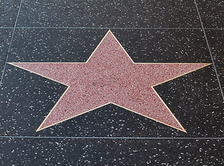 Image showing Hollywood star