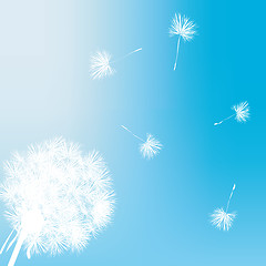 Image showing Dandelion gift card