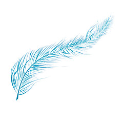 Image showing Blue feather