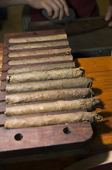 Image showing hand made quality nicaraguan cigars fresh in a rack