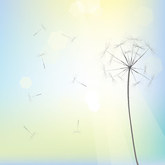 Image showing Bright dandelion design