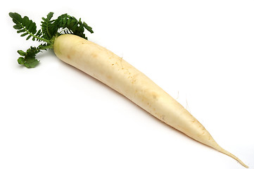 Image showing White radish