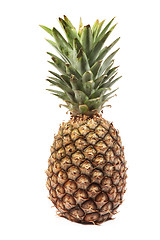 Image showing Pineapple