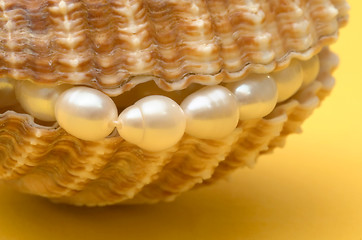 Image showing Pearls