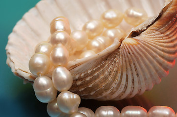 Image showing Pearls and shell