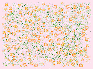 Image showing Flowers on pink