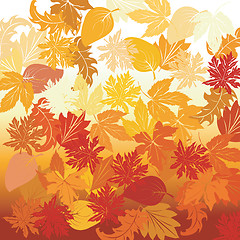 Image showing Autumn background