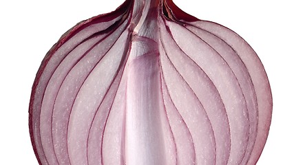 Image showing Onion