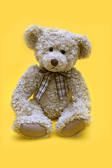 Image showing Teddy bear