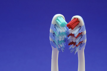 Image showing Tooth brushes