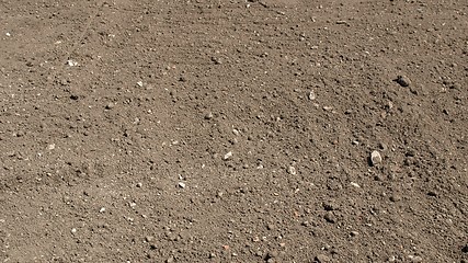 Image showing Soil