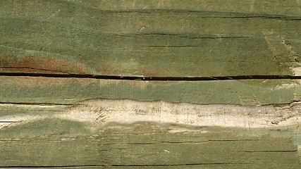 Image showing Wood