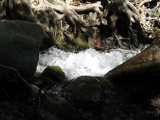 Image showing Foamy waters