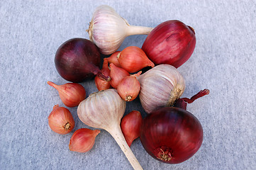 Image showing Garlic And Onion Bulbs