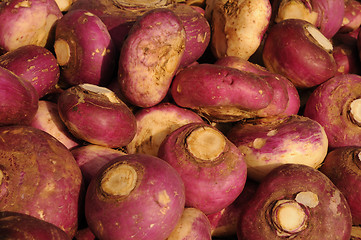 Image showing Radish