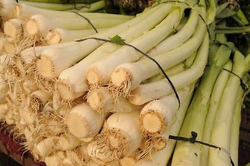 Image showing Leek