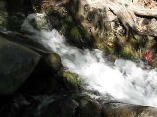 Image showing Flowing waters