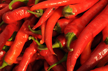 Image showing Red Chili Pepper