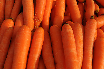 Image showing Carrots