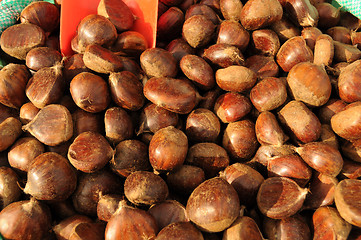 Image showing Chestnut