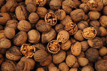 Image showing Walnut