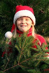 Image showing Christmas girl 