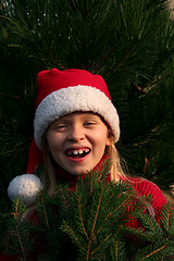 Image showing Christmas girl 