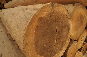 Image showing Logs