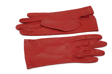 Image showing Gloves