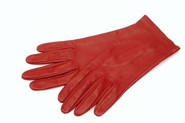 Image showing Gloves