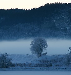 Image showing Winter landscape