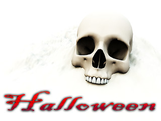 Image showing Halloween Skull 