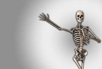 Image showing Skeleton Gesture